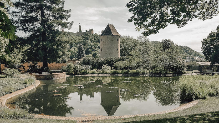 Teich im Schlosspark Weinheim