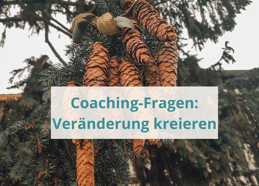 Read more about the article <strong>Coaching-Fragen: Wie du mit den richtigen Fragen Veränderung kreierst</strong>
